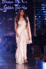 walk the Ramp For Cancer Patients at Fevicol Caring with Style on 26th Feb 2017 (33)_58b3ded7804eb.JPG
