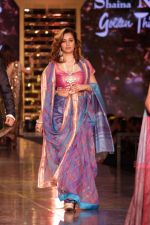 walk the Ramp For Cancer Patients at Fevicol Caring with Style on 26th Feb 2017 (76)_58b3df50b16d3.JPG