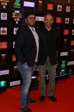 at Red Carpet Of Zee Cine Awards 2017 on 12th March 2017 (33)_58c68b0326896.JPG