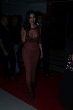 Sophie Choudry at the Launch Of Cavali-The Lounge on 24th March 2017 (16)_58d62743060bf.JPG