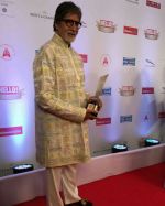 Amitabh Bachchan On Red Carpet Of Hello Hall Of Fame Awards on 29th March 2017 (30)_58dcceacdbfdb.jpg