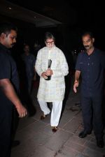 Amitabh Bachchan On Red Carpet Of Hello Hall Of Fame Awards on 29th March 2017 (31)_58dccead7f5b3.jpg