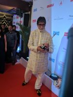 Amitabh Bachchan On Red Carpet Of Hello Hall Of Fame Awards on 29th March 2017 (33)_58dcceaeec62a.jpg
