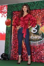 Shilpa Shetty at Launch Of B Natural Fruits Beverages on 12th April 2017 (13)_58f3733ba9978.JPG