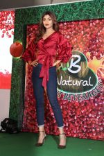 Shilpa Shetty at Launch Of B Natural Fruits Beverages on 12th April 2017 (14)_58f3733e0c291.JPG