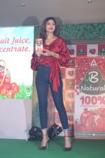 Shilpa Shetty at Launch Of B Natural Fruits Beverages on 12th April 2017 (23)_58f3735137355.JPG