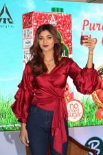 Shilpa Shetty at Launch Of B Natural Fruits Beverages on 12th April 2017 (36)_58f3736e535dc.JPG