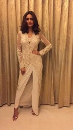 Esha Gupta looked gorgeous at the Cama Awards on 26th April 2017 (3)_5901c4ffb6e06.jpeg