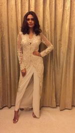Esha Gupta looked gorgeous at the Cama Awards on 26th April 2017 (3)_5901c50074aff.jpg