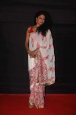 Kavika Kaushik at Dada Saheb Film Foundation Awards 2017 on 8th May 2017 (18)_5912db2a0842a.JPG