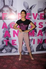 Jacqueline Fernandez at support for Iam forever against animal testing event on 9th June 2017 (66)_593bbb0a6ca2a.JPG