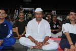 Jackie Shroff celebrate World Yoga Day in Mumbai on 21st June 2017 (77)_594a7208c2767.JPG