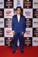 Faisal Khan At Red Carpet Of Big Zee Entertainment Awards 2017 on 29th July 2017