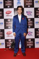 Faisal Khan At Red Carpet Of Big Zee Entertainment Awards 2017 on 29th July 2017 (26)_597d9111036ff.JPG