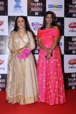 Ila Arun At Red Carpet Of Big Zee Entertainment Awards 2017 on 29th July 2017 (26)_597d914e217f2.JPG