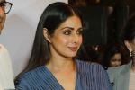 Sridevi at the Launch Of IPhone 8 & IPhone 8+ At iAzure on 29th Sept 2017 (48).JPG_59d21f3d4783b.JPG