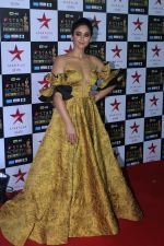 Ileana D_Cruz at the Red Carpet of Star Screen Awards in Mumbai on 3rd Dec 2017 (270)_5a24ce951952b.JPG