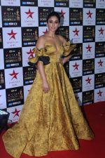 Ileana D'Cruz at the Red Carpet of Star Screen Awards in Mumbai on 3rd Dec 2017