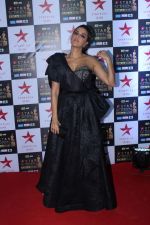Neha Dhupia at the Red Carpet of Star Screen Awards in Mumbai on 3rd Dec 2017 (118)_5a24cf190e6b6.JPG