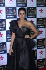 Neha Dhupia at the Red Carpet of Star Screen Awards in Mumbai on 3rd Dec 2017