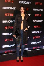Dipannita Sharma At the Red Carpet Of Netflix Original Bright on 18th Dec 2017 (74)_5a38c22158fc8.JPG