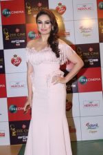 Akriti Kakkar at the Red Carpet Event Of Zee Cine Awards 2018 on 19th Dec 2017 (77)_5a3a0b01940fd.JPG
