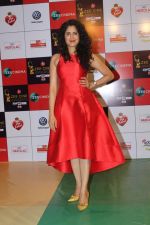 at the Red Carpet Event Of Zee Cine Awards 2018 on 19th Dec 2017 (14)_5a3a0bb258d61.JPG