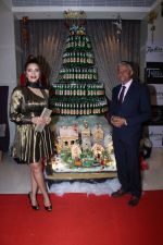 Shama Sikander at Radisson Mumbai Host Pre Christmas Party on 22nd Dec 2017 (38)_5a3e7b0b828d9.JPG