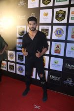 Gurmeet Choudhary At 24th SOL Lions Gold Awards on 24th Jan 2018