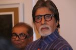 Amitabh Bachchan At Opening Preview Of Dilip De_s Art Exhibition on 26th Jan 2018 (28)_5a6c2111be328.JPG