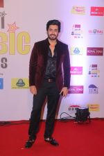 Sunny Singh at Mirchi Music Awards in NSCI, Worli, Mumbai on 28th Jan 2018 (5)_5a6ec1ea2f786.JPG