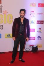 Sunny Singh at Mirchi Music Awards in NSCI, Worli, Mumbai on 28th Jan 2018 (6)_5a6ec1eabfadf.JPG