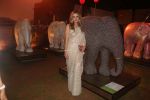 at the Finale of Elephant Parade in Taj Lands End, bandra on 23rd March 2018 (12)_5ab5f96222fd4.JPG