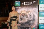 Shilpa Shetty Kundra at Sony BBC Earth, channels 1st anniversary celebration on 25th March 2018 (1)_5abb4466b1a47.JPG