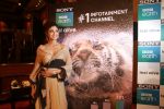 Shilpa Shetty Kundra at Sony BBC Earth, channels 1st anniversary celebration on 25th March 2018 (53)_5abb44c049199.JPG