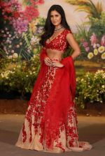 Katrina Kaif at Sonam Kapoor and Anand Ahuja_s Wedding Reception on 8th May 2018 (1)_5af4405174514.JPG