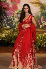 Katrina Kaif at Sonam Kapoor and Anand Ahuja_s Wedding Reception on 8th May 2018 (3)_5af4405650c3a.JPG