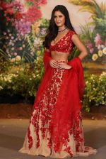 Katrina Kaif at Sonam Kapoor and Anand Ahuja_s Wedding Reception on 8th May 2018 (4)_5af44058780ab.JPG