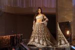 Katrina Kaif at Red Carpet for Manish Malhotra new collection Haute Couture on 1st Aug 2018 (100)_5b62bae5f1e6e.JPG