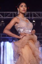 Model walk The Ramp at The Wedding Junction Show on 26th Oct 2018 (174)_5bd459269bf59.JPG