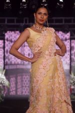 Model walk The Ramp at The Wedding Junction Show on 26th Oct 2018 (188)_5bd459405a031.JPG