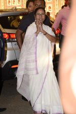 Mamta Banerjee  at Isha Ambani and Anand Piramal_s wedding on 12th Dec 2018 (9)_5c1216fccd708.JPG