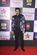 at Red Carpet of Star Screen Awards 2018 on 16th Dec 2018 (41)_5c1891eb21435.JPG