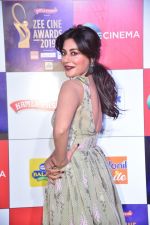 Chitrangada Singh at Zee cine awards red carpet on 19th March 2019