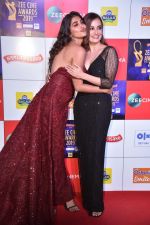 Dia Mirza at Zee cine awards red carpet on 19th March 2019