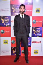 Dino Morea at Zee cine awards red carpet on 19th March 2019 (195)_5c91e8588be91.jpg