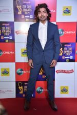 Gurmeet Choudhary at Zee cine awards red carpet on 19th March 2019 (237)_5c91e885b43f6.jpg