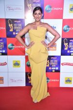 Kubbra Sait at Zee cine awards red carpet on 19th March 2019