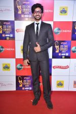 at Zee cine awards red carpet on 19th March 2019 (51)_5c91e7f696aba.jpg