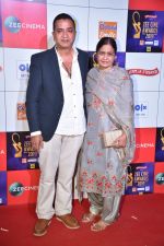 at Zee cine awards red carpet on 19th March 2019 (52)_5c91e7f825990.jpg